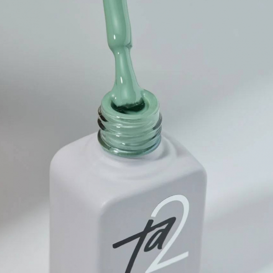Гель-лак Ta2 / COLOR GEL POLISH №100